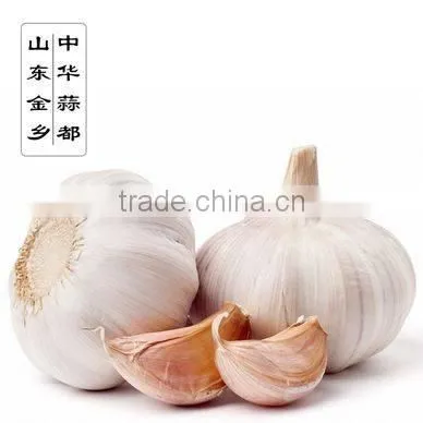 2016 NEW CROP GARLIC