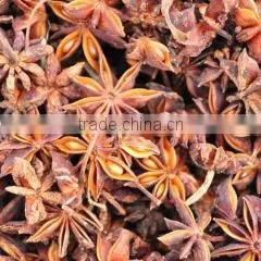 Qingdao Dong Xiang Run International Trading Co., Ltd. company overview - view 3