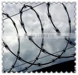 electro galvanized razor wire