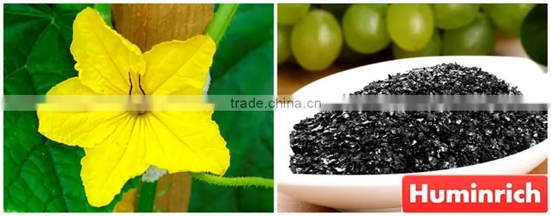 FAQ 2--Potassium Humate Fulvic Acid Fertilizer For Cucumber