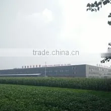 Xuzhou Desheng Petrol Machine Co., Ltd. company overview - view 1