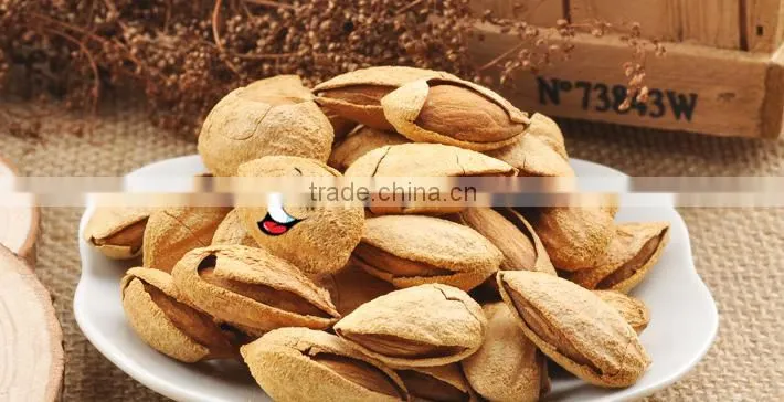 Chinese badam almond in shell with QS standard