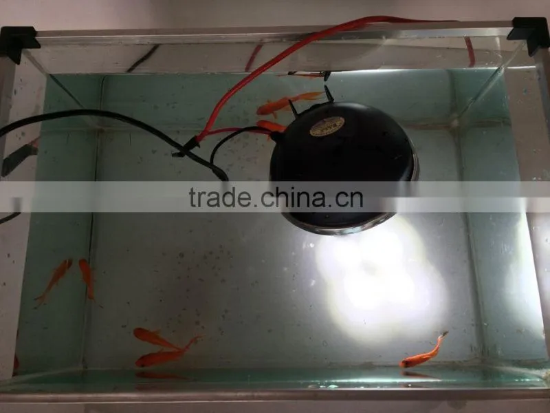 Rounded auto LED spot light