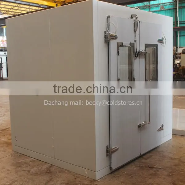 Double handles walk-in cold storage door fire proof