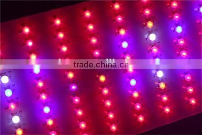 led light plant 600w greenhouse flowers and vegetables fill light