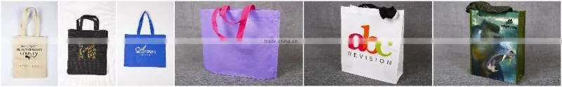Paper plastic bag insert/Paper plastics compound sacks/paper bag PP woven inner bag