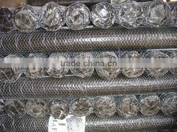 hexagonal wire mesh 1