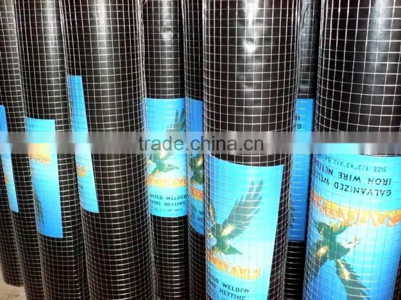 3mm 10 gauge 1/2" x 1/2" wire mesh panel