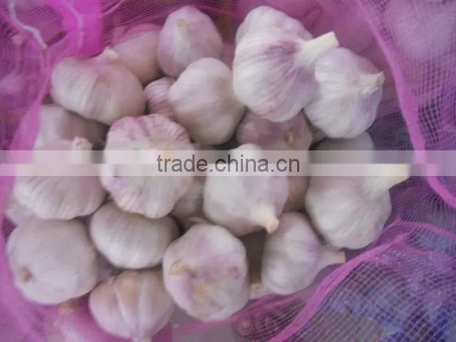 2013 crop natural garlic ,good quality new garlic
