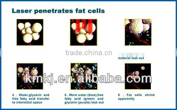 Fast slimming! Super 12 lipo pads laser esthetic machine for slimming with cavitation rf (CE ISO SGS TUV)