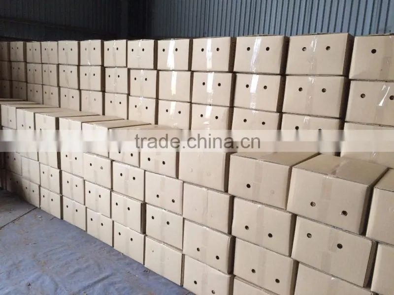 Vietnam Cassia Split best quality with fasten loading & attractive price in 2017