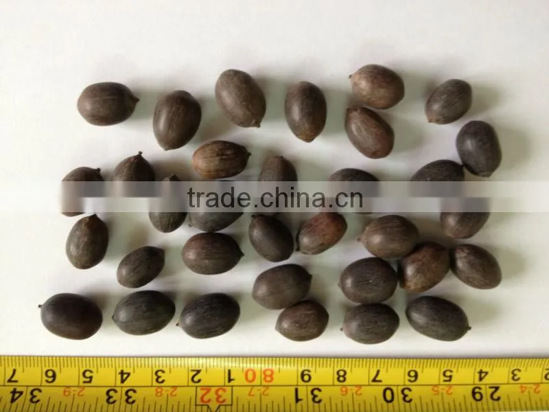 Dried Lotus Seed