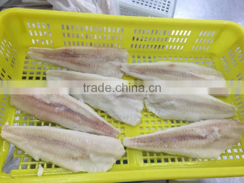 Frozen alaska pollock fish fillet for thailand from china seafood exporter
