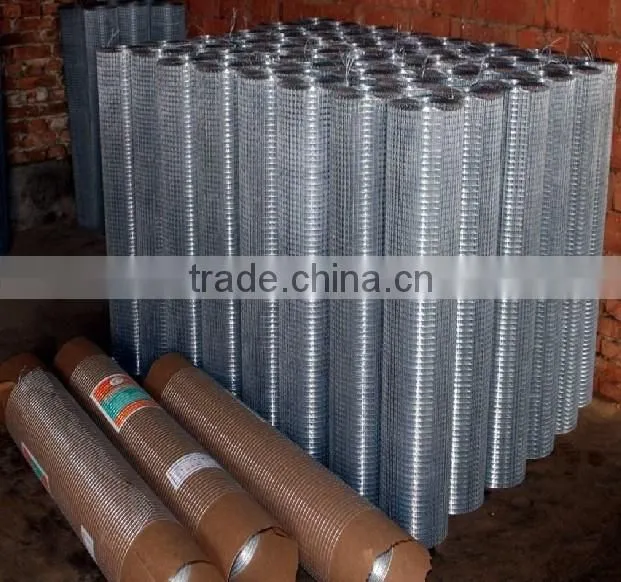 electro-galvanized 1/2 inch mesh welded wire mesh for construction