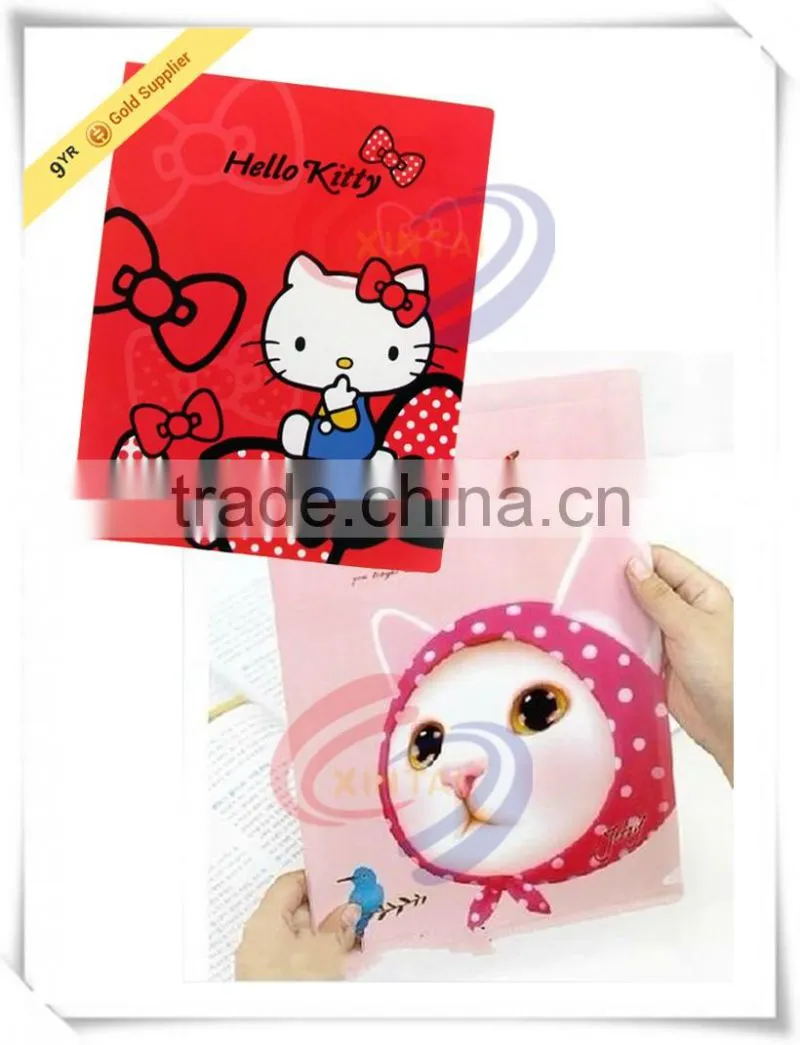 Customized pp folder Office & School Supplies