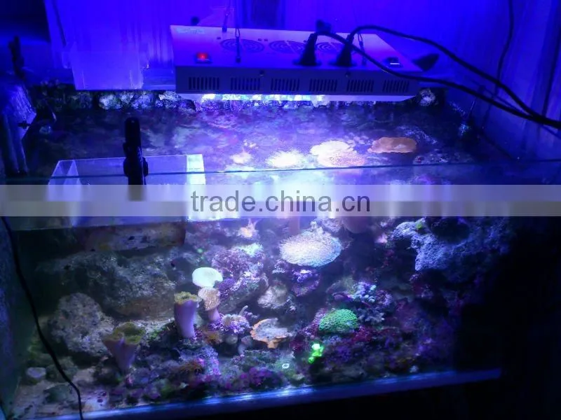 all square dimmable led aquarium lights for marine