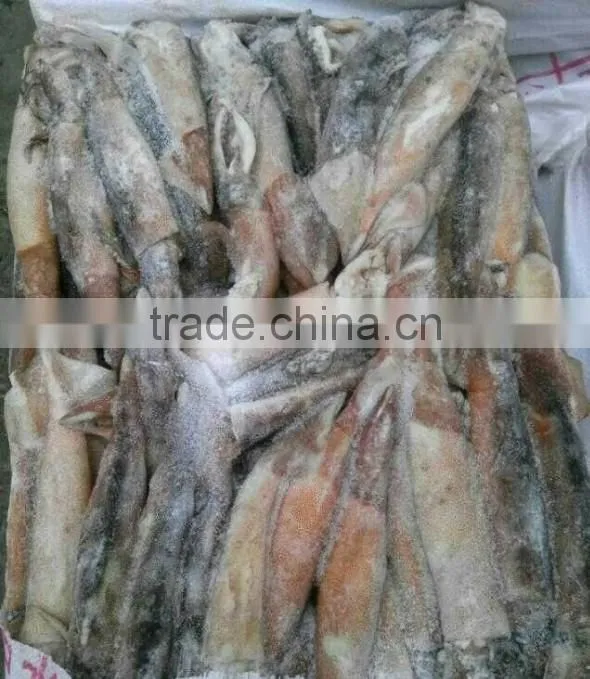 Frozen whole and round illex squid 150-200