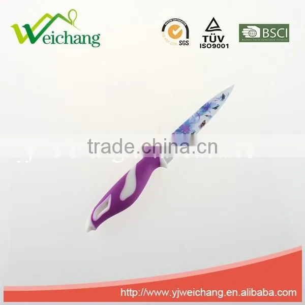 WCE568 5 pcs set Kitchen Knives artwork painting blade PP+TPR handle , hot sale, Wholesale