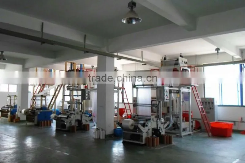CE/ISO Food Processing PE gloves/Polyethylene Gloves