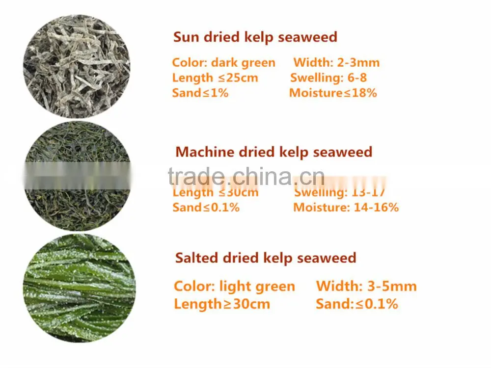 2015 Sun dried or machine dried kelp cut dried chuka wakame seaweed