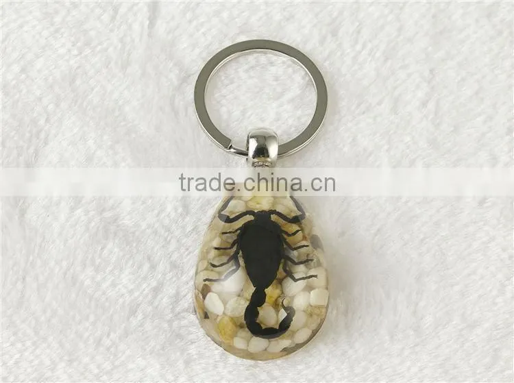 Real bug flower sea horse scorpion wholesale key chain rope