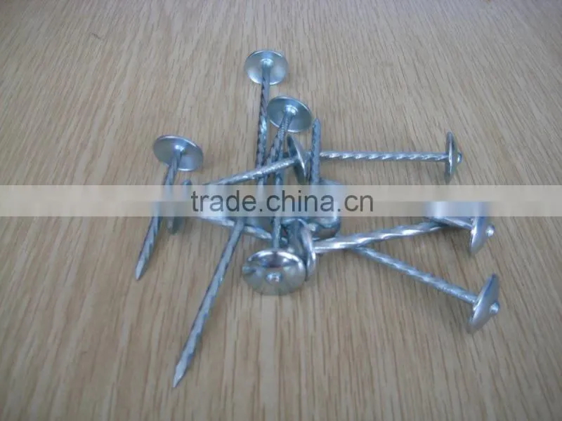 roofing nail