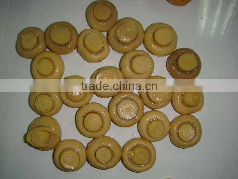 champignon PNS
