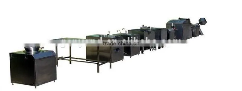 vacuum mixed fried fruit/vegetable chips chips machine for fruit processing