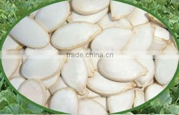 white pumpkin seeds