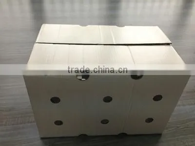 Eco-friendly Wax Corrugated Box