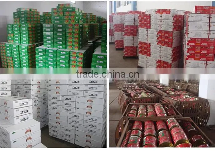 Double concentrated canned tomato paste with best quality