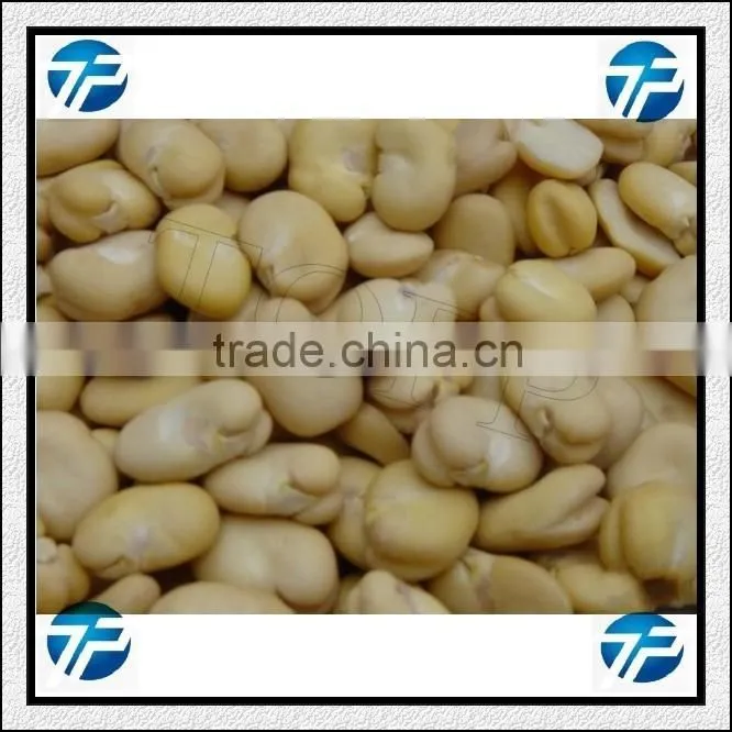 Alomond Wet Peeling|Processing Machine