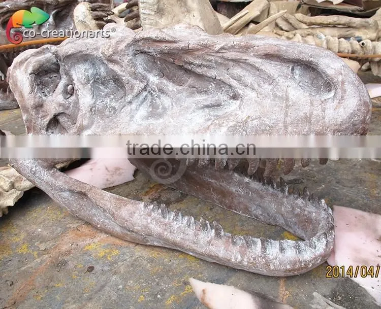 Hot sale fiberglass life size dinosaur skull