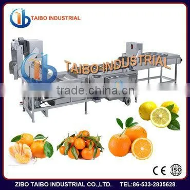 Ozone Fruit and Vegetable Washer /Vegetable Washing Machine
