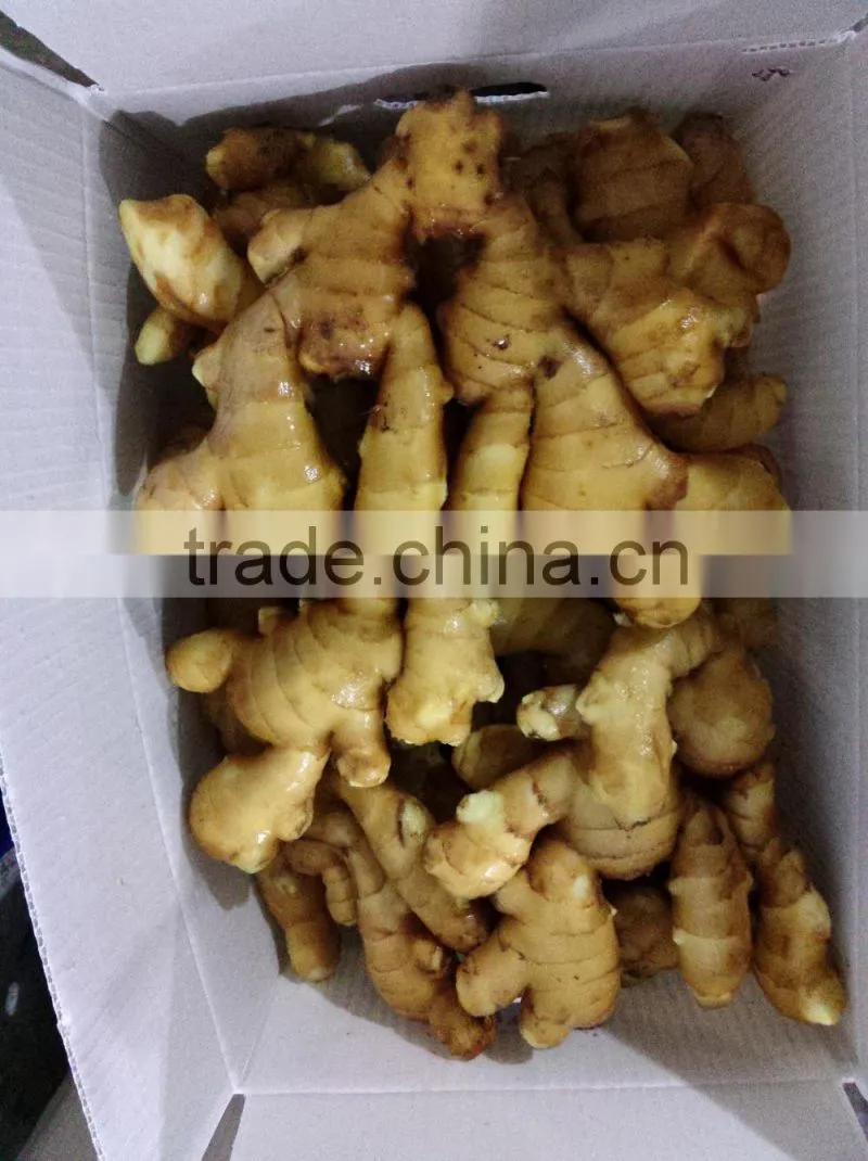 Chinese Fresh Ginger