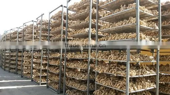 2016crop air dried ginger price