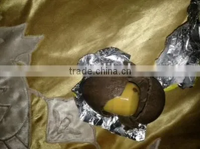 China Custom Chocolate Enrobing Machine/cookie chocolate coating machine