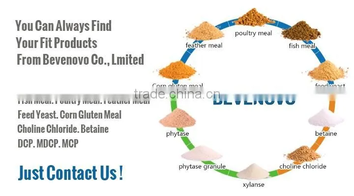 Hydrolyzed Feather Meal 80 Protein Feed Grade