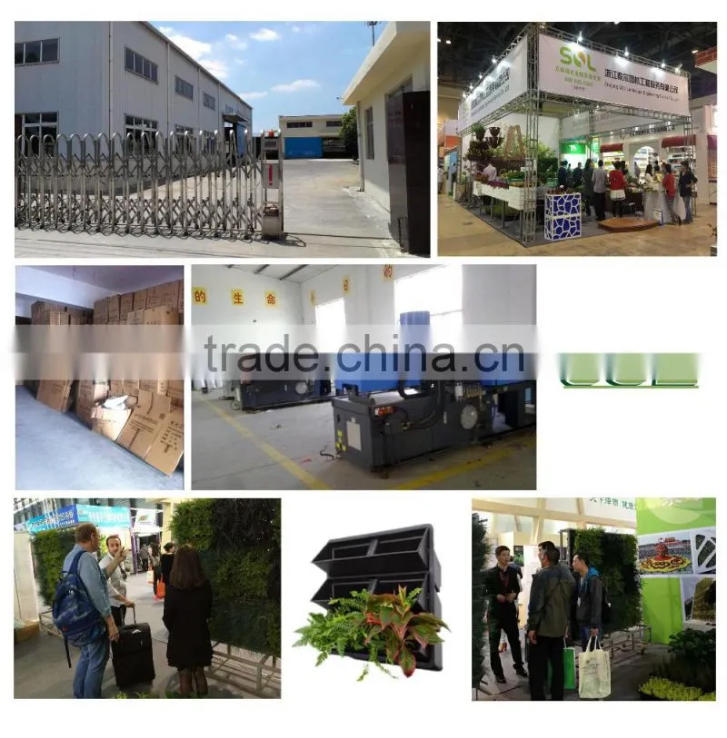 2016 new garden design hydroponic growing systems types of ornamental plants