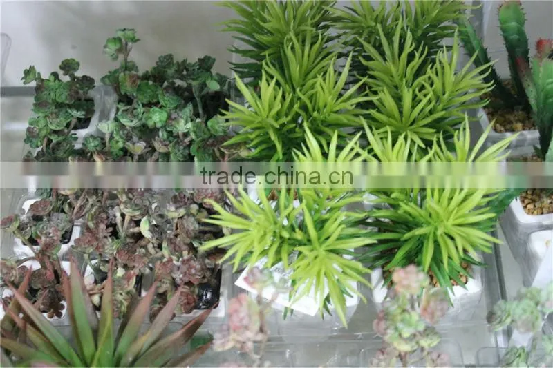 artificial succulent plants making