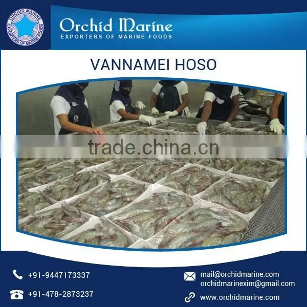 Most Demanded Flavored Vannamei HLSO Shrimps for Sale