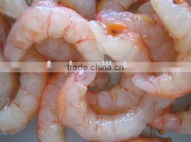 red shrimp pud with frozen