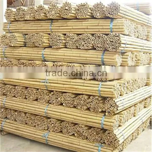 high quality garden bamboo canes