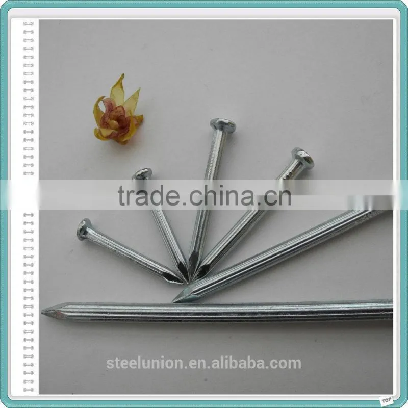 E.G. Galvanized Steel Concrete Nails with Low Price