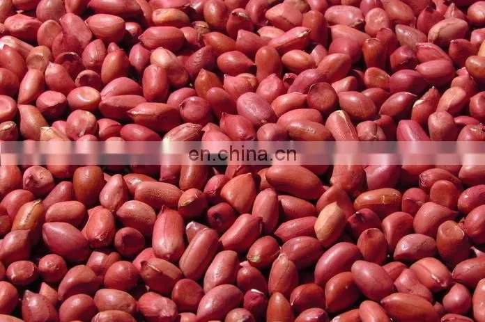 Africa peanut using Automatic Peeling Peanut Shell Machine and Peanut Cleaning Machine