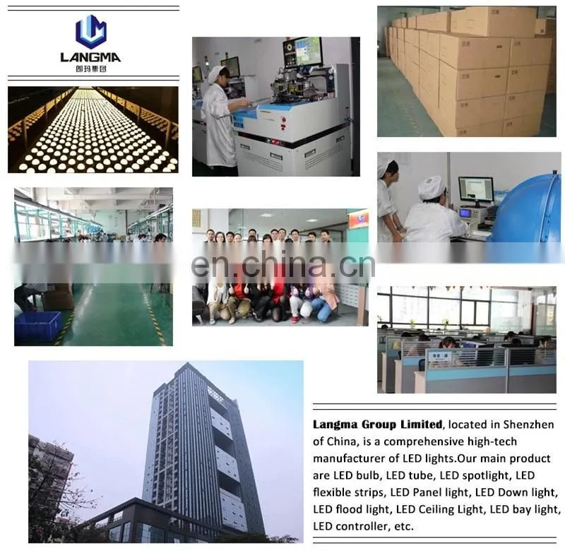 Led light source 12W ceiling led light hotel project