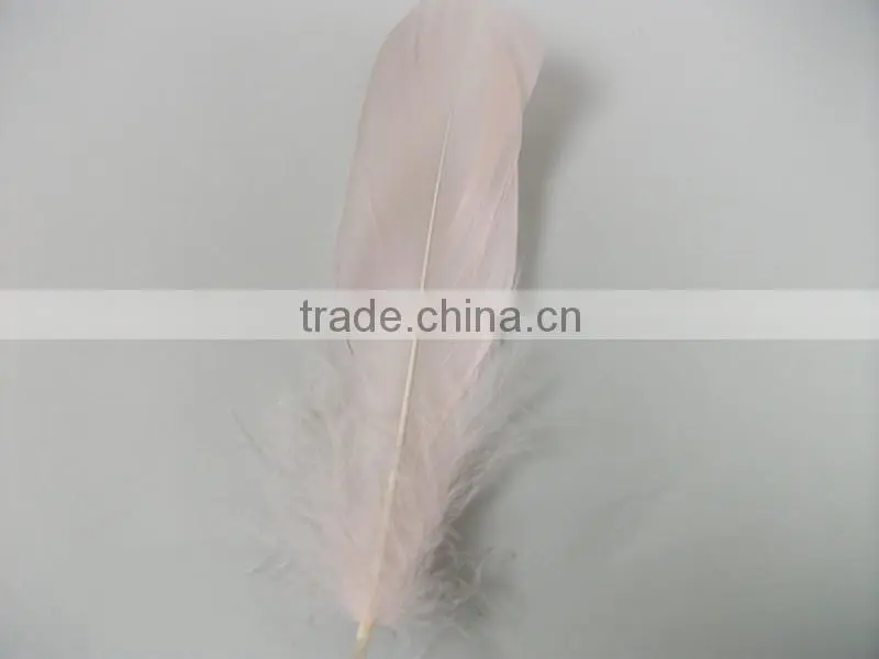 Feather For DIY Decorate Cheap