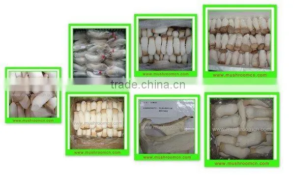 Fresh king oyster mushroom