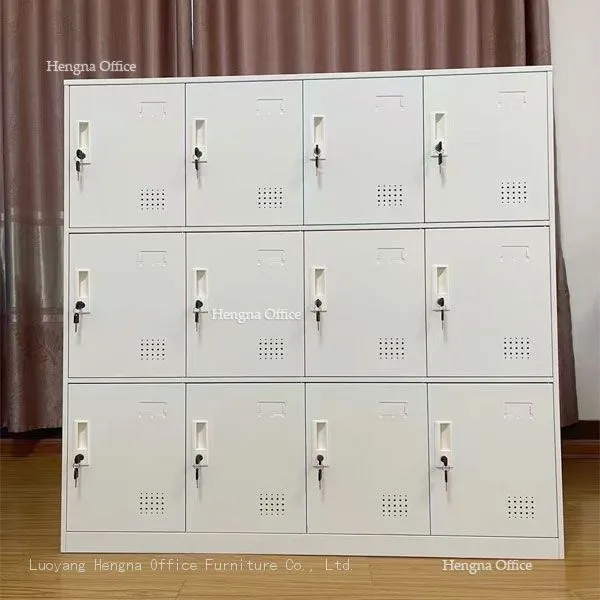 dsfvs1