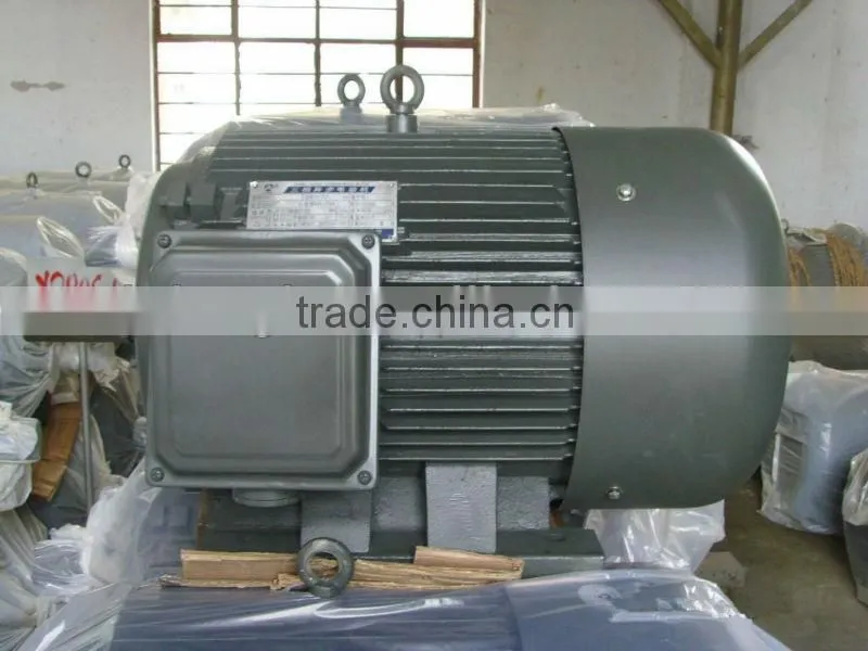 Variable speed electric motors, electric dc motor